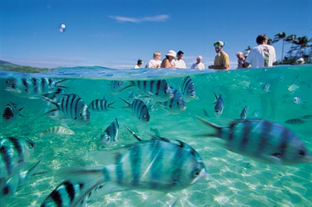 View while snorkling