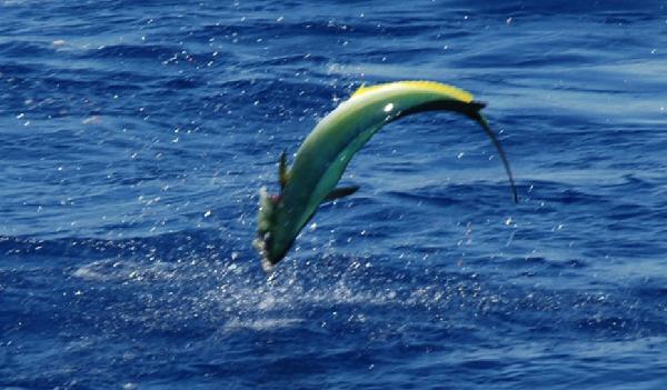 Gone Fishing