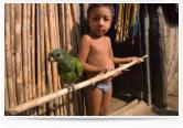 Kuna-Child-Paret