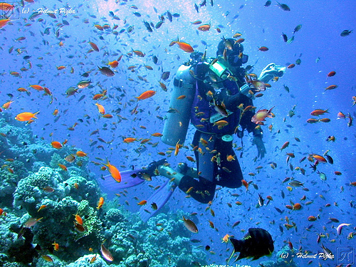 snorkling while out on our boat
